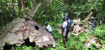 Where Is The Jungle And Aircraft Crash I Dead Island Where Is The Jungle And Aircraft Crash I Dead Island